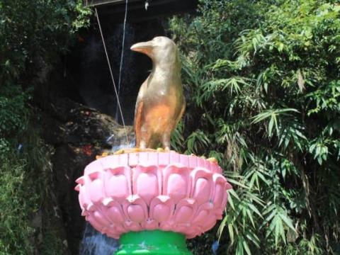आज कागे अष्टमी पर्व मनाइँदै आज कागे अष्टमी पर्व मनाइँदै